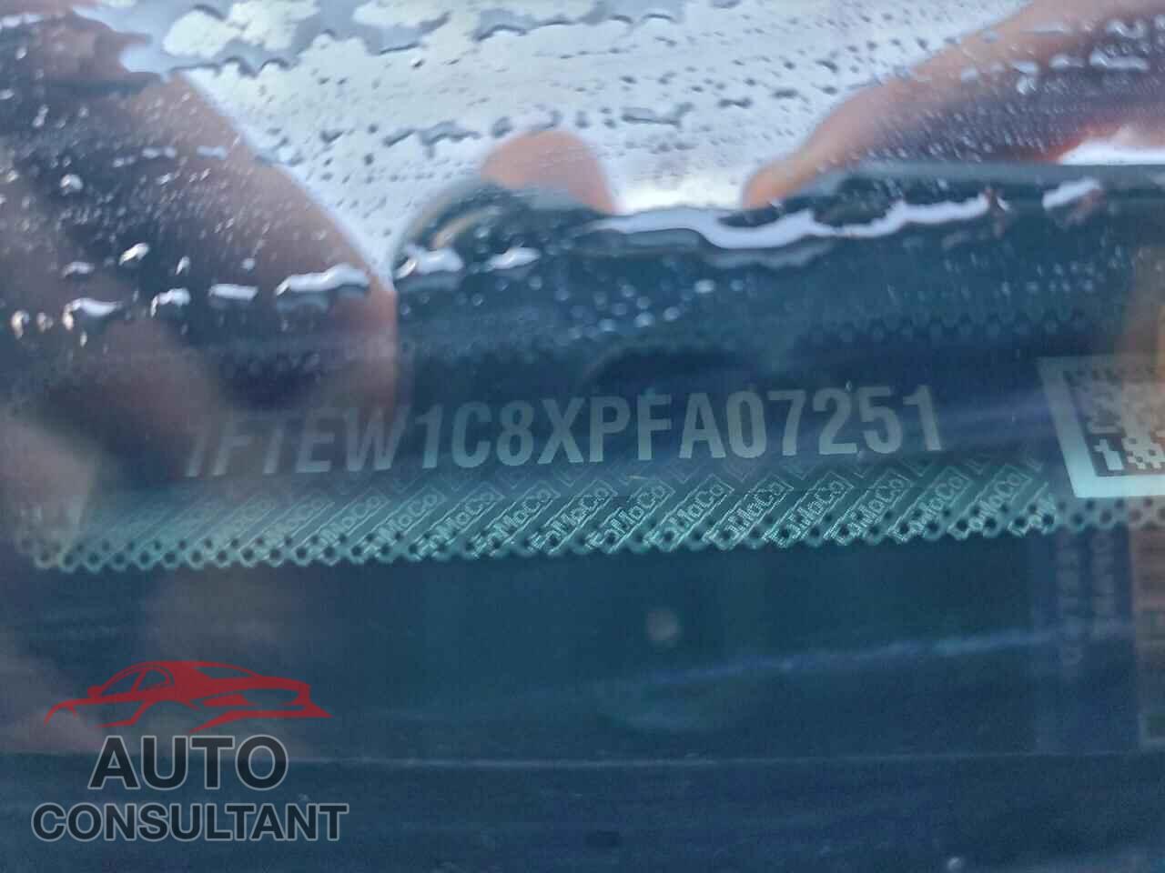 FORD F-150 2023 - 1FTEW1C8XPFA07251