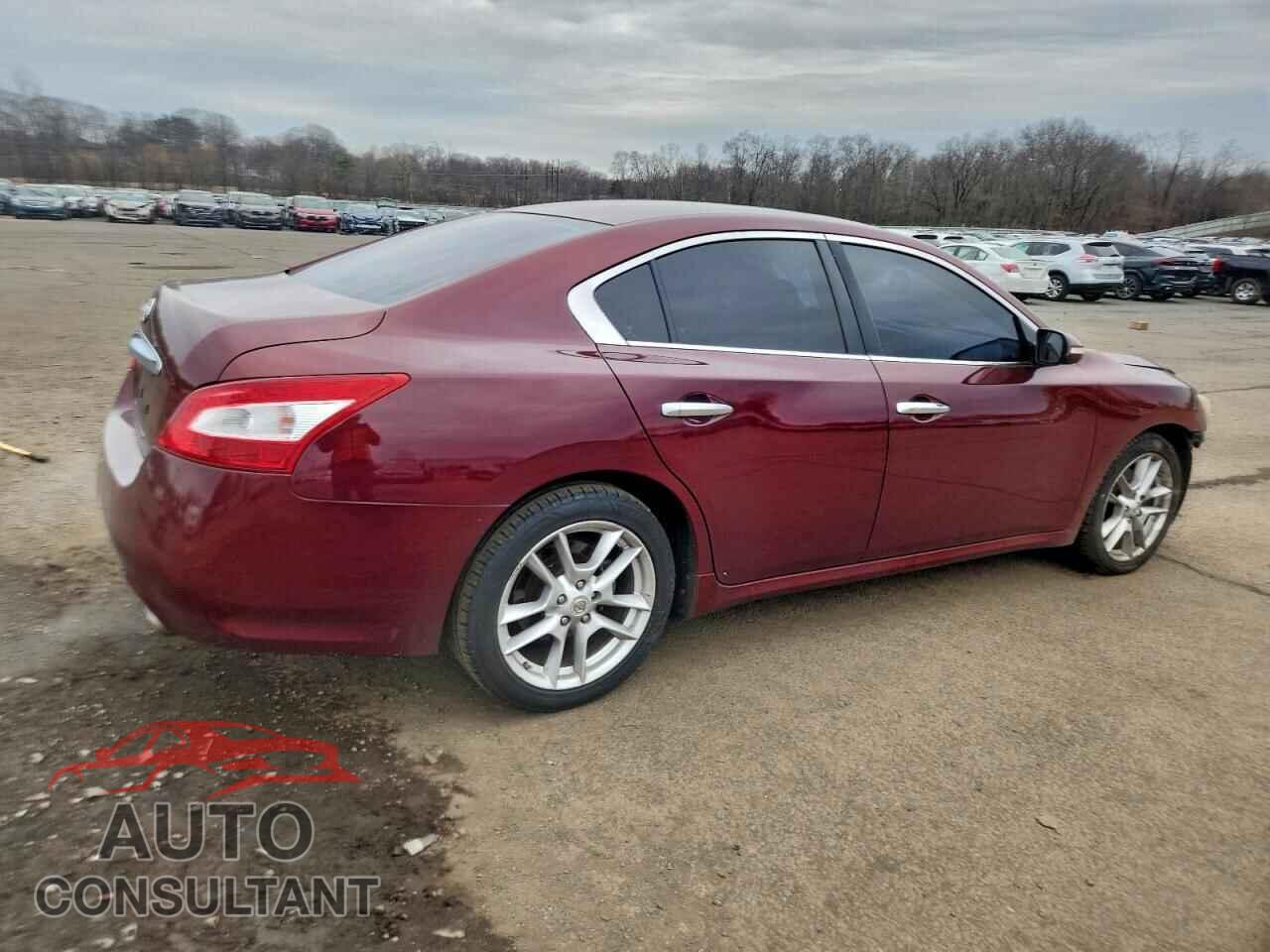 NISSAN MAXIMA 2009 - 1N4AA51E49C819782