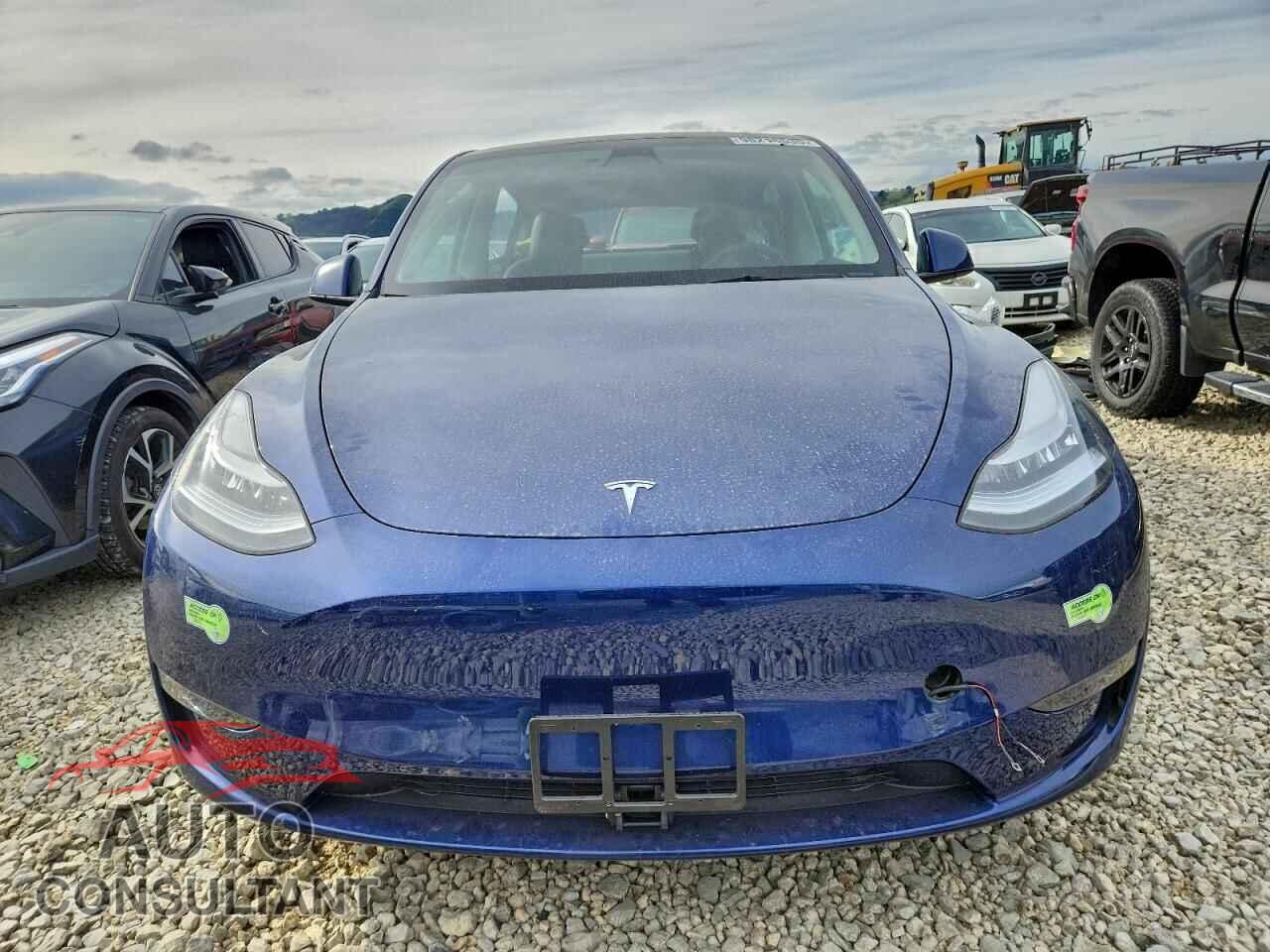 TESLA MODEL Y 2023 - 7SAYGDEEXPF588577
