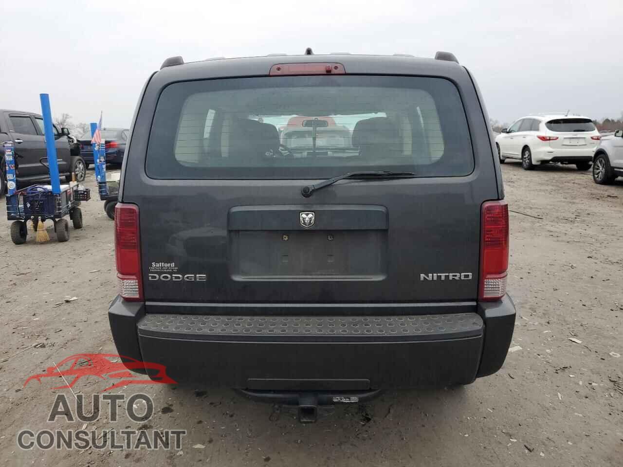 DODGE NITRO 2011 - 1D4PU2GK1BW500905