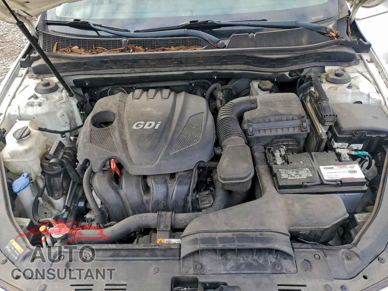 KIA OPTIMA 2014 - KNAGM4A77E5497576