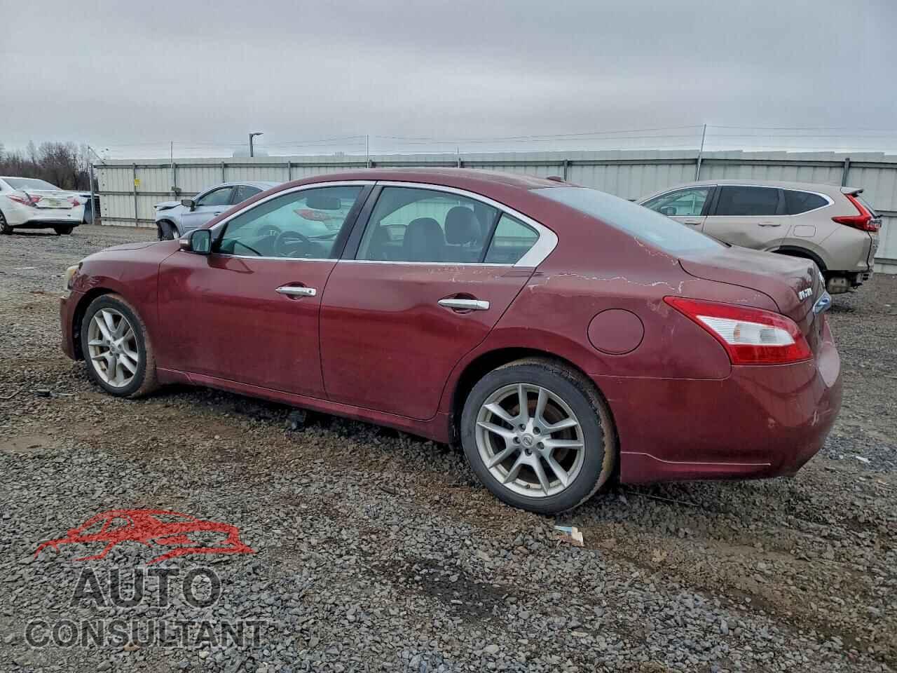 NISSAN MAXIMA 2010 - 1N4AA5AP4AC835843