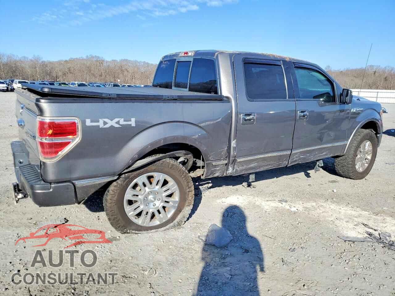 FORD F-150 2013 - 1FTFW1EF4DFA49961