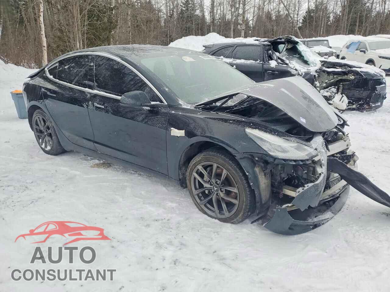 TESLA MODEL 3 2019 - 5YJ3E1EA2KF413872