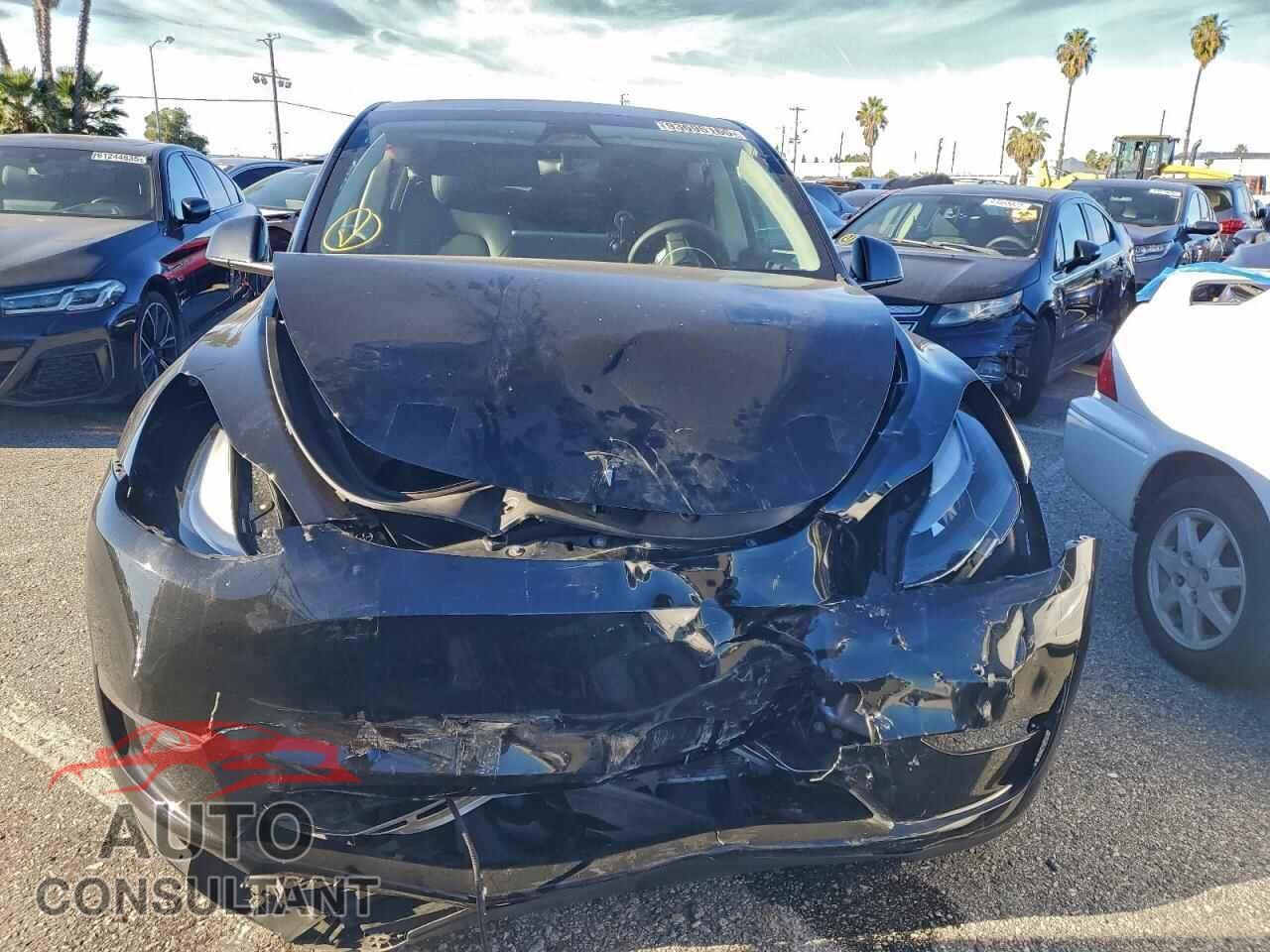 TESLA MODEL Y 2024 - 7SAYGDED2RF162618