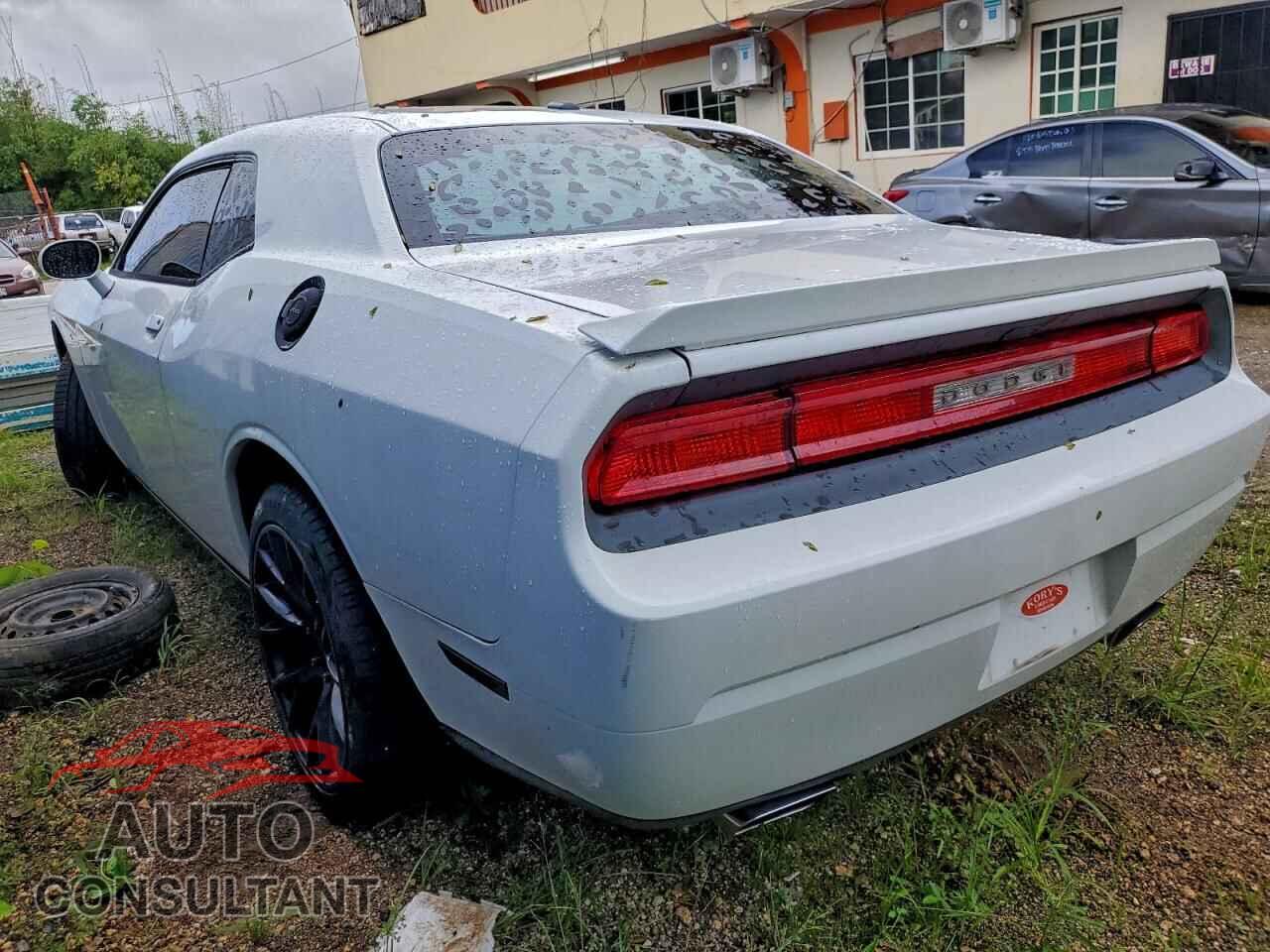 DODGE CHALLENGER 2014 - 2C3CDYBT6EH270154