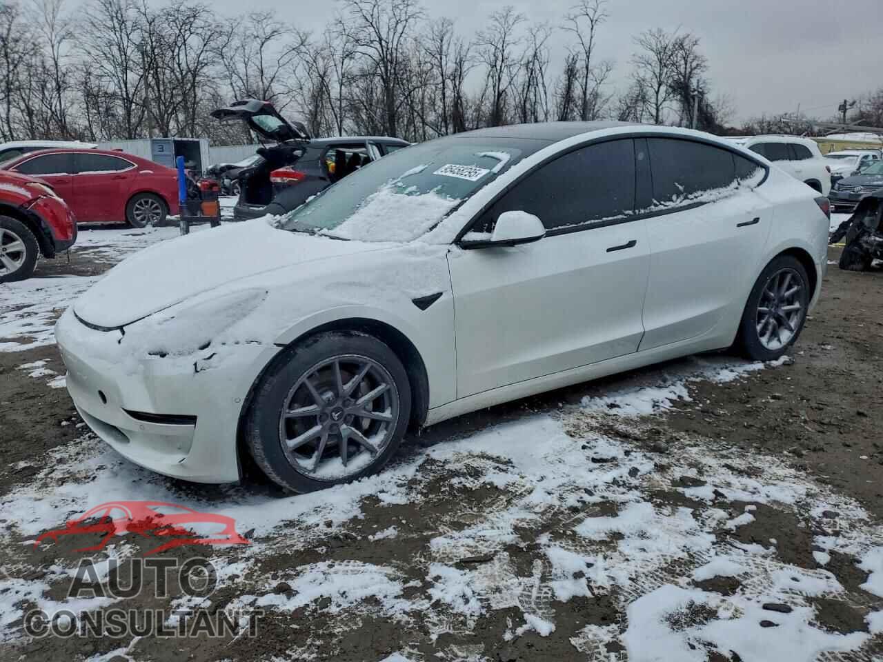 TESLA MODEL 3 2021 - 5YJ3E1EA2MF919799