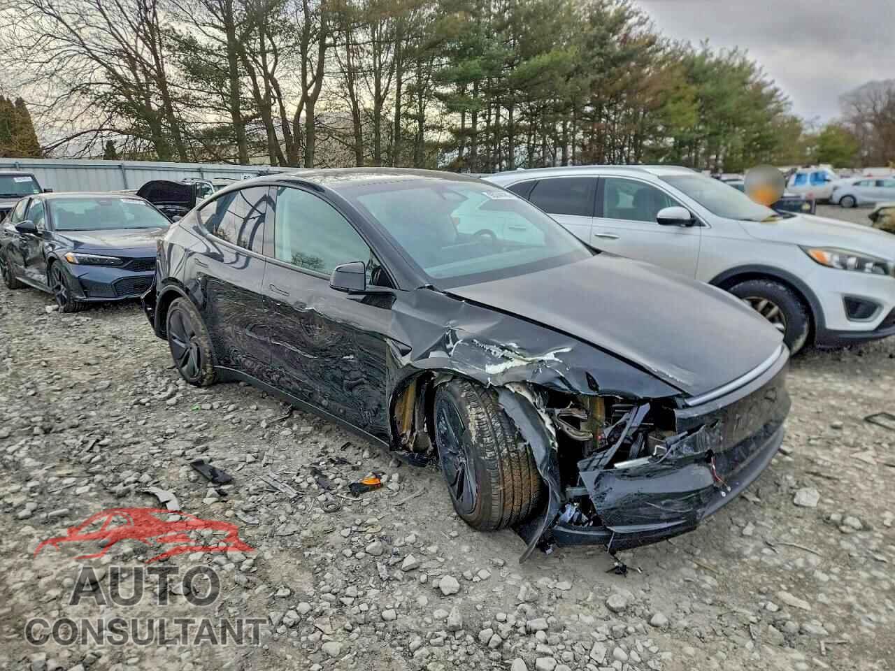 TESLA MODEL Y 2026 - 7SAYGDEDXTF435151
