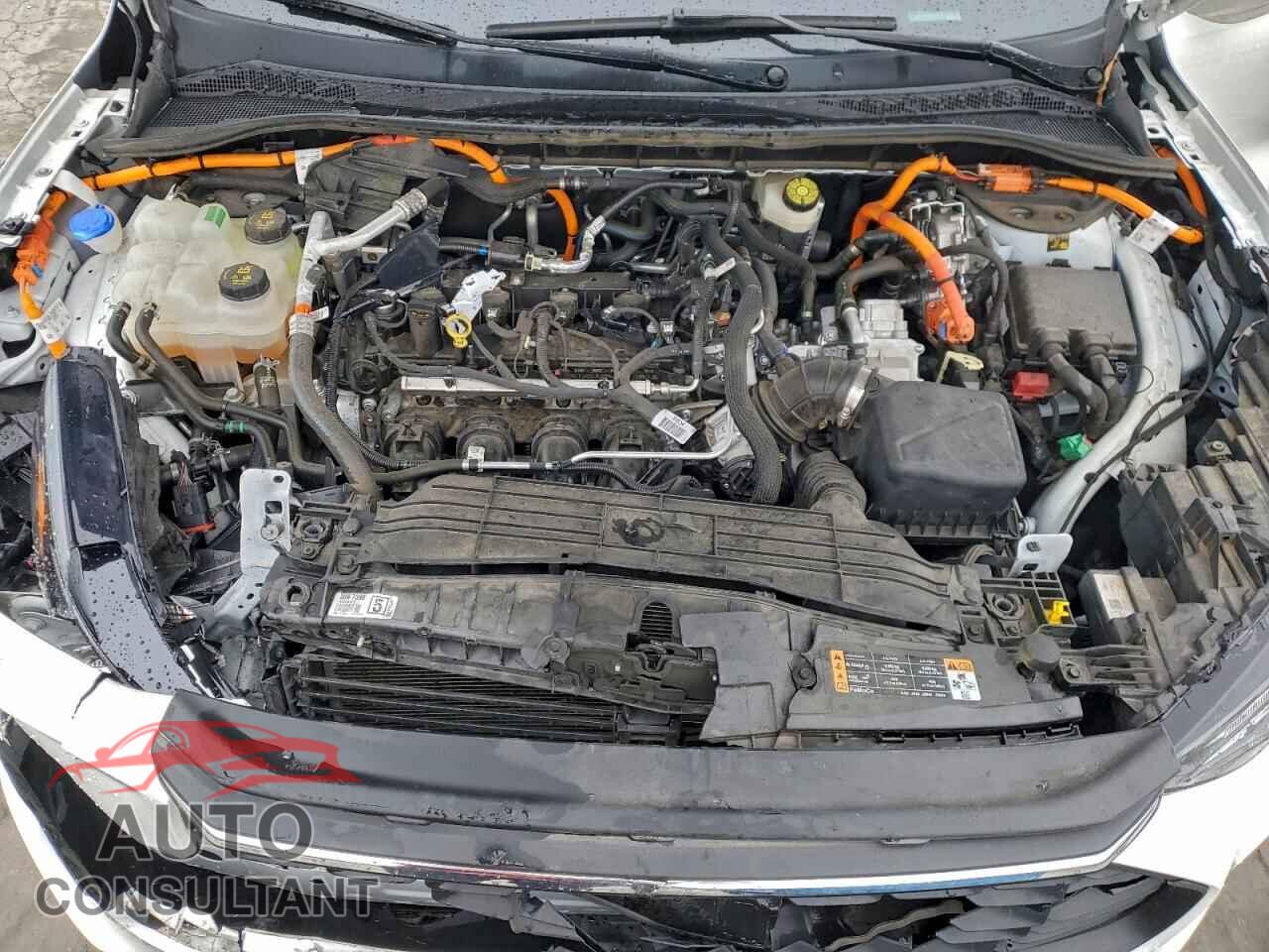 FORD ESCAPE 2023 - 1FMCU0E19PUB47449