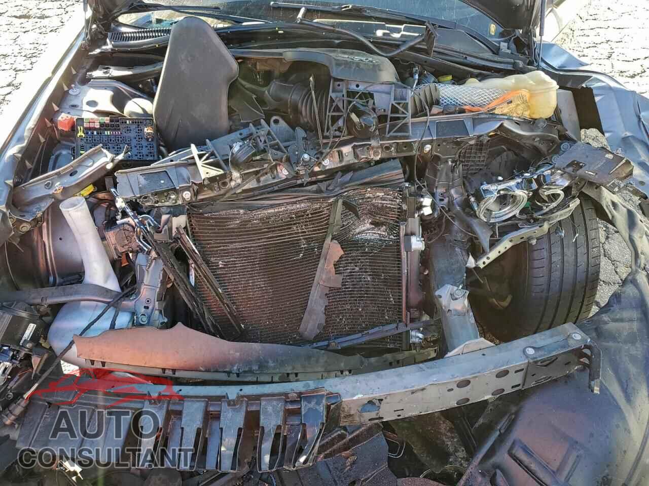 DODGE CHALLENGER 2019 - 2C3CDZAG3KH531570