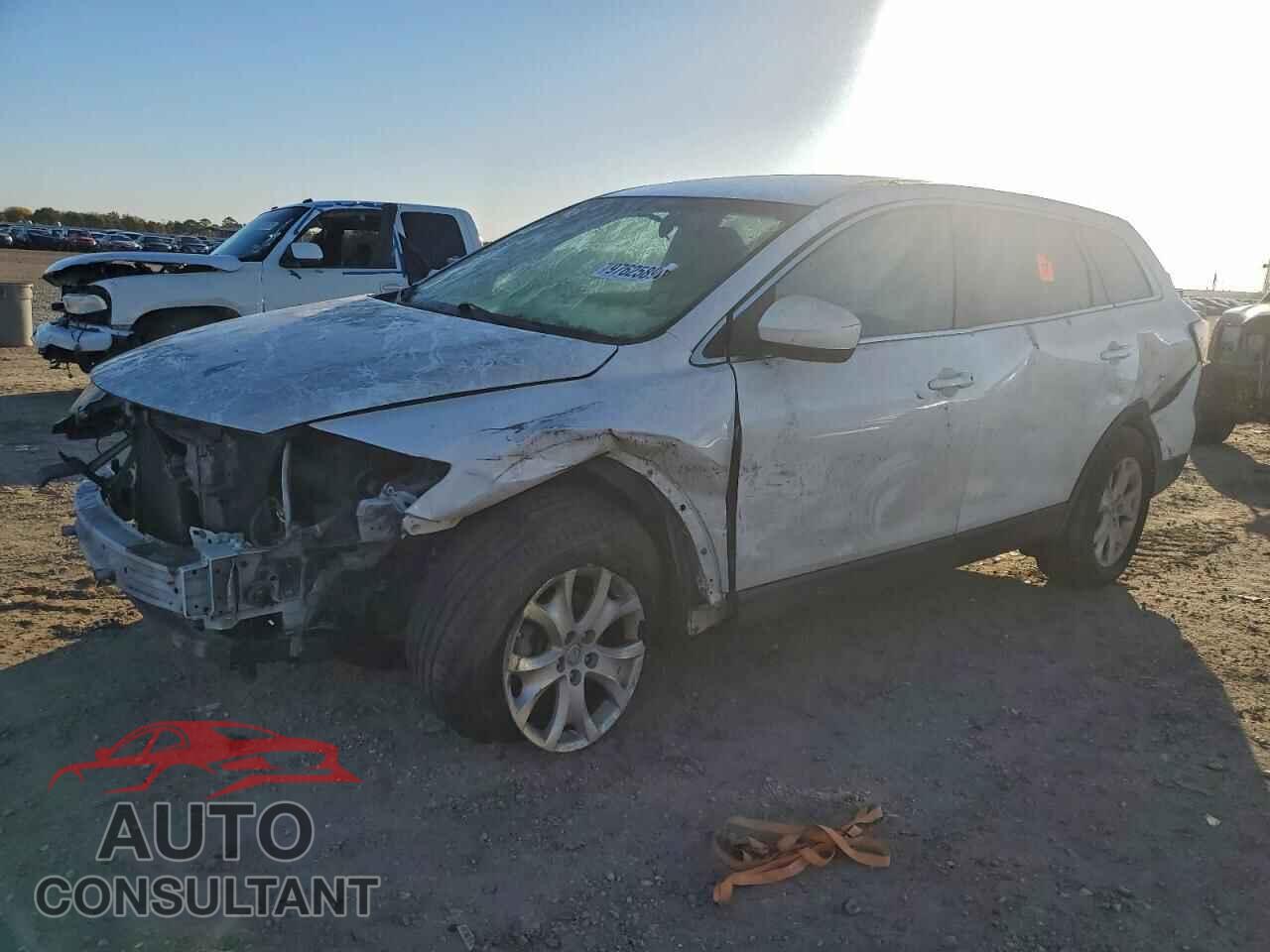 MAZDA CX-9 2011 - JM3TB2BA1B0314629