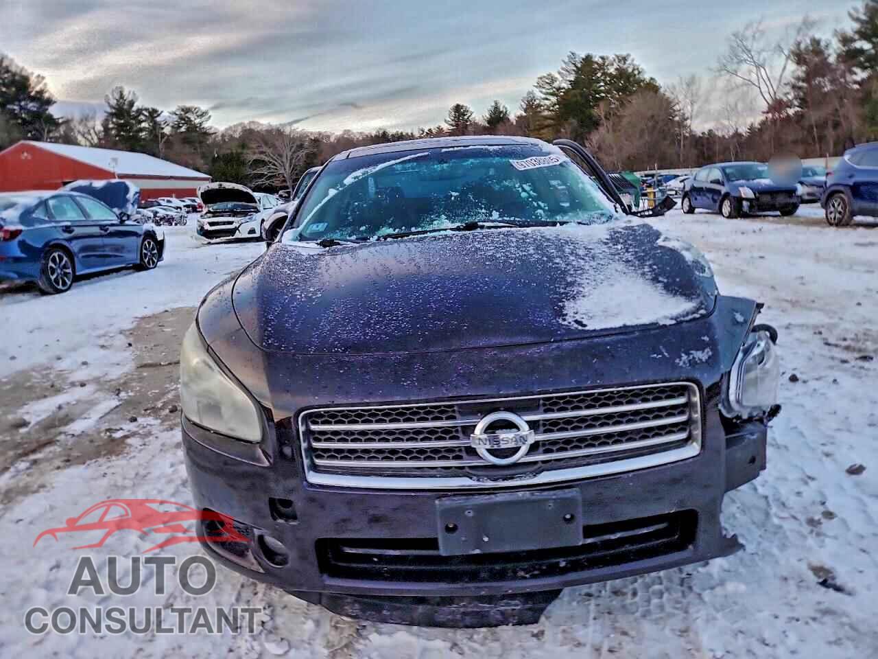 NISSAN MAXIMA 2010 - 1N4AA5AP1AC859064