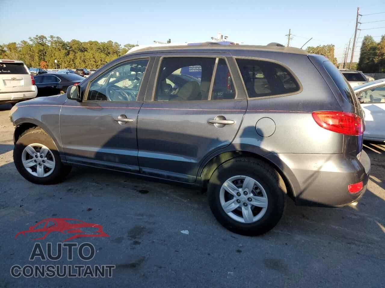 HYUNDAI SANTA FE 2009 - 5NMSG73D89H321387