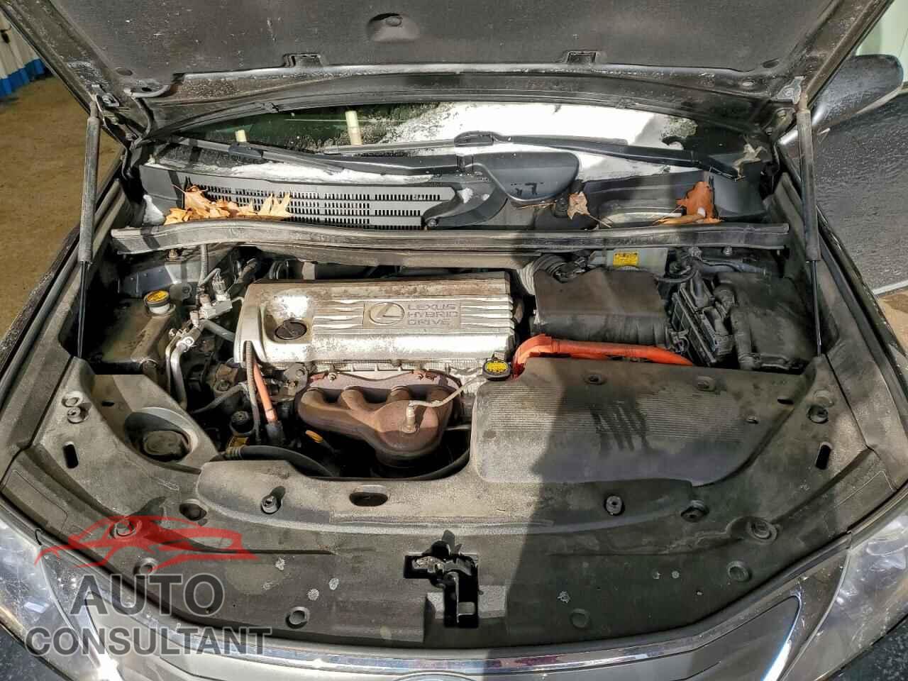 LEXUS HS 2010 - JTHBB1BAXA2019125
