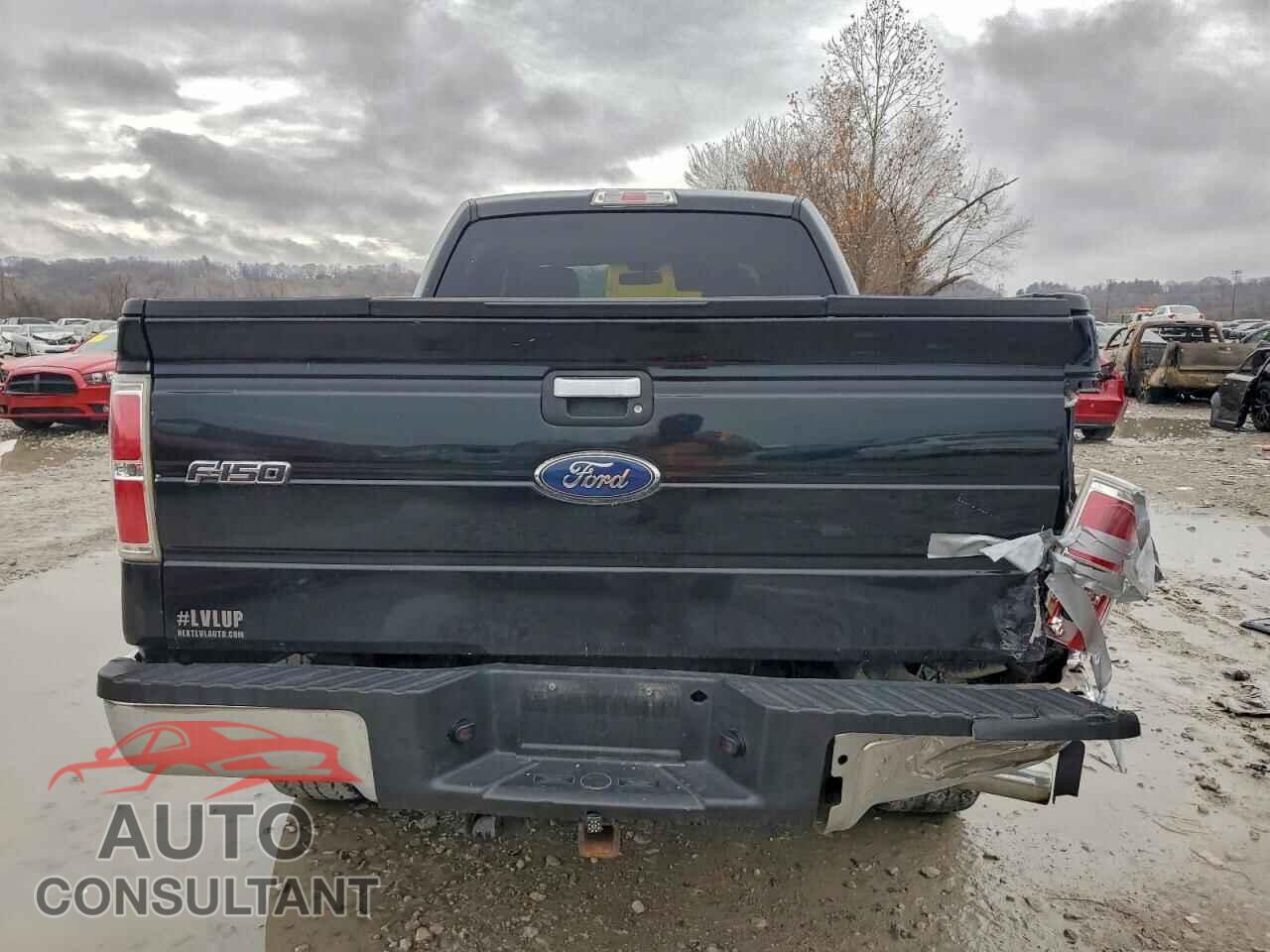 FORD F-150 2011 - 1FTFW1ET3BFC41150