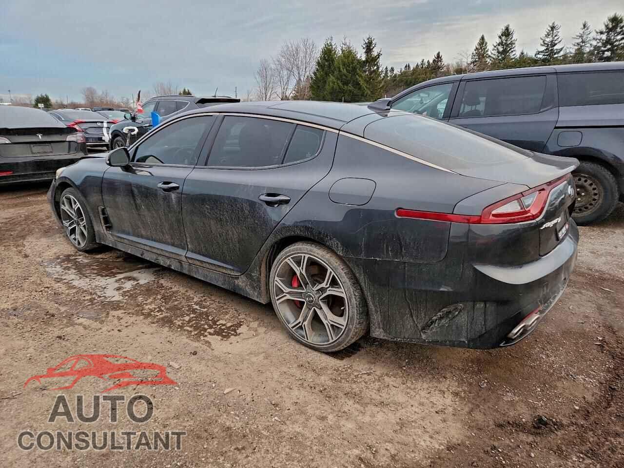 KIA STINGER 2019 - KNAE35LC2K6048192