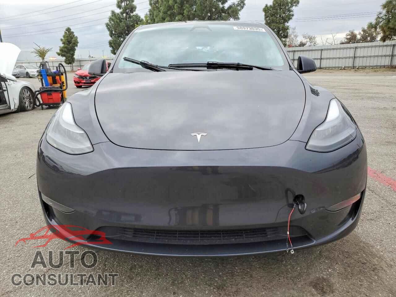 TESLA MODEL Y 2024 - 7SAYGDEE4RF063579