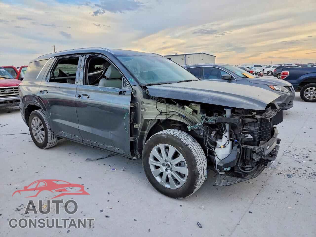 HYUNDAI PALISADE 2025 - KM8R24GEXSU921336