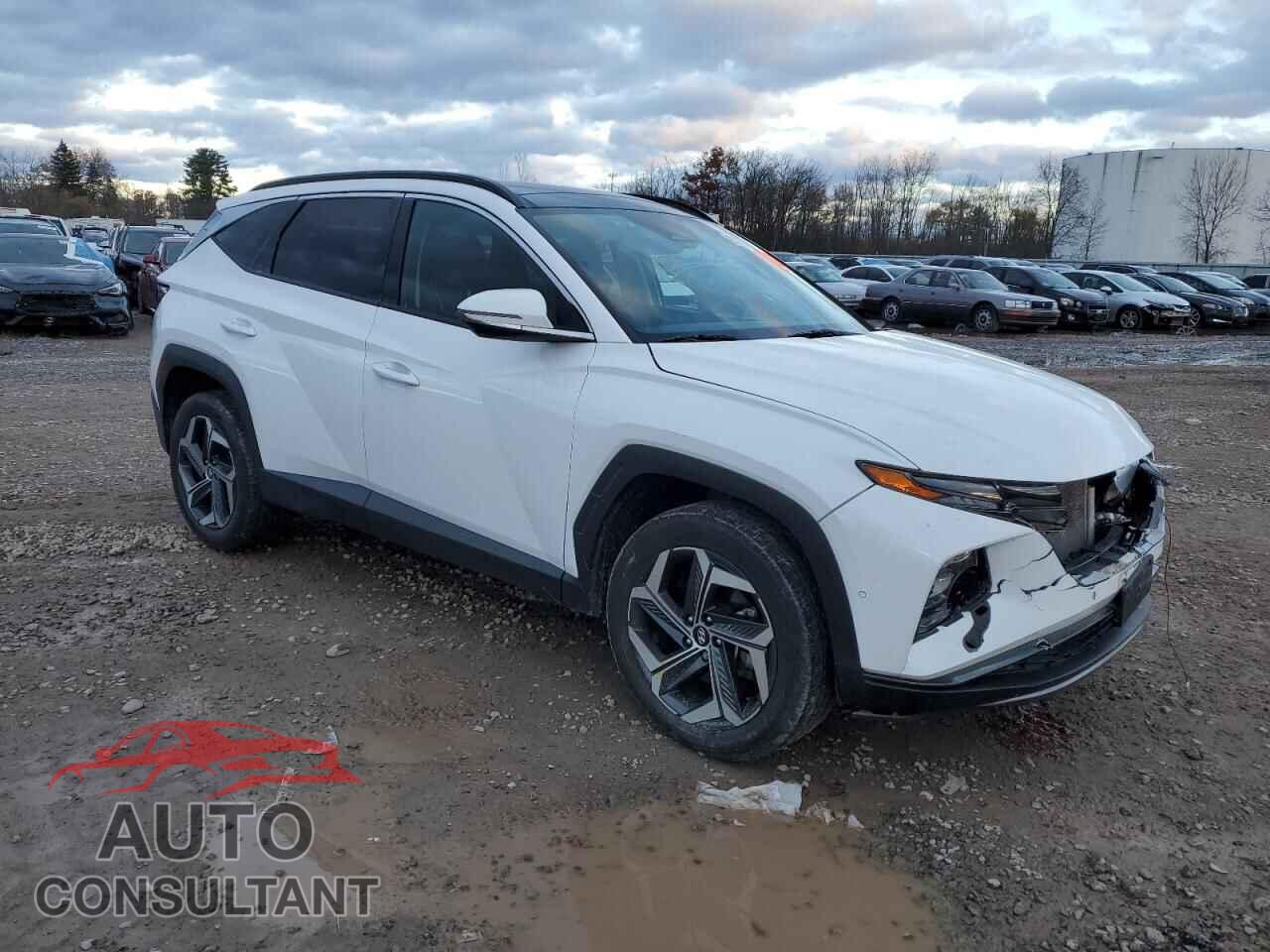 HYUNDAI TUCSON 2023 - 5NMJECAE7PH179357