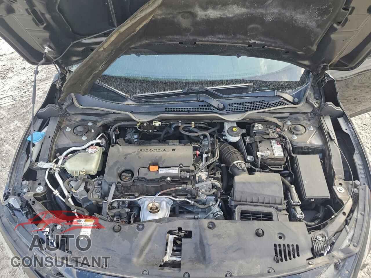HONDA CIVIC 2019 - 2HGFC2F83KH596277
