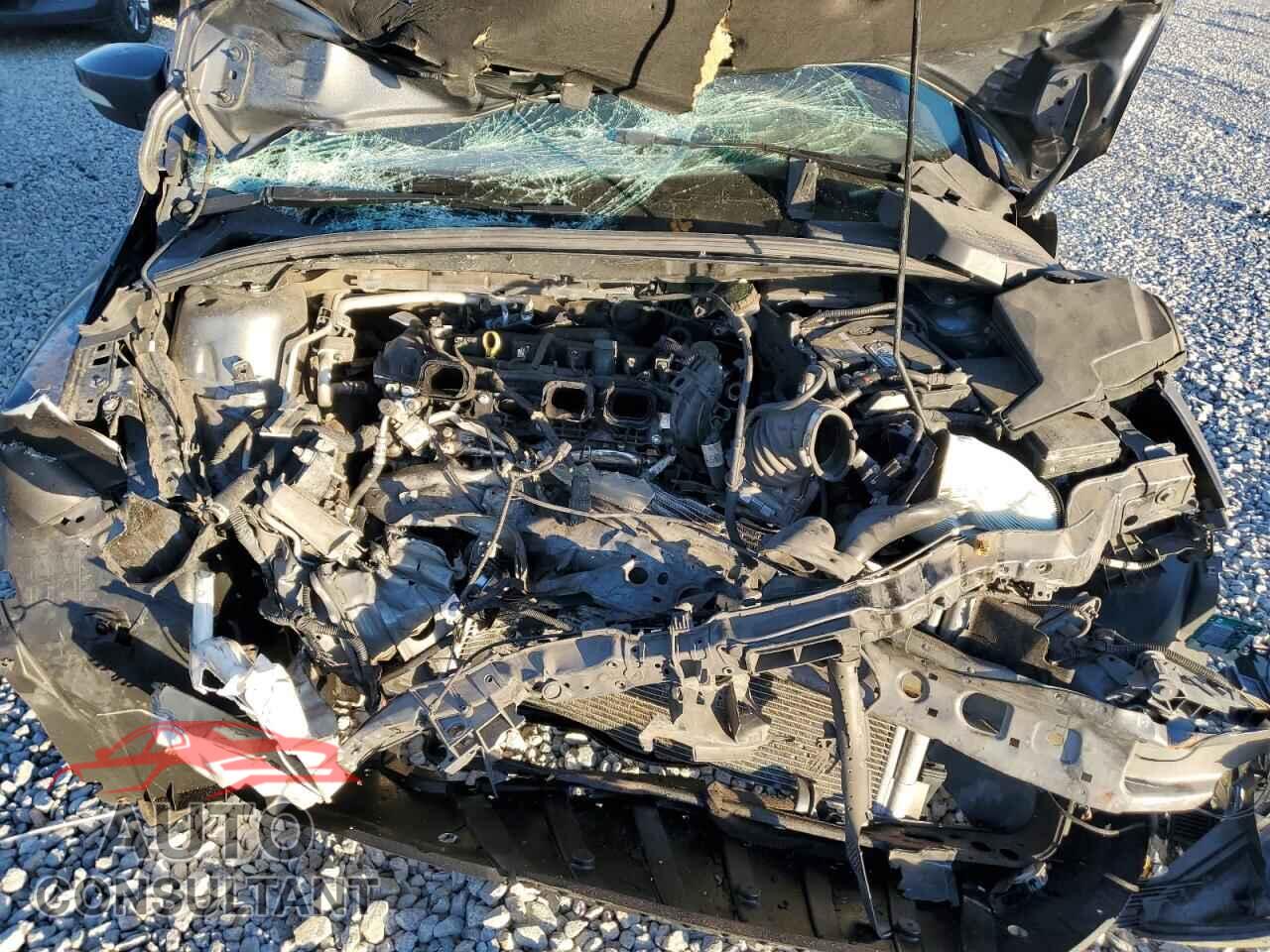 FORD FOCUS 2016 - 1FADP3F20GL361668