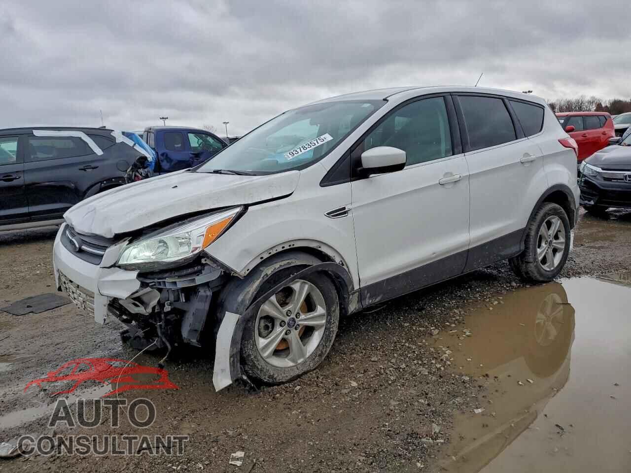 FORD ESCAPE 2014 - 1FMCU9GX4EUC61362