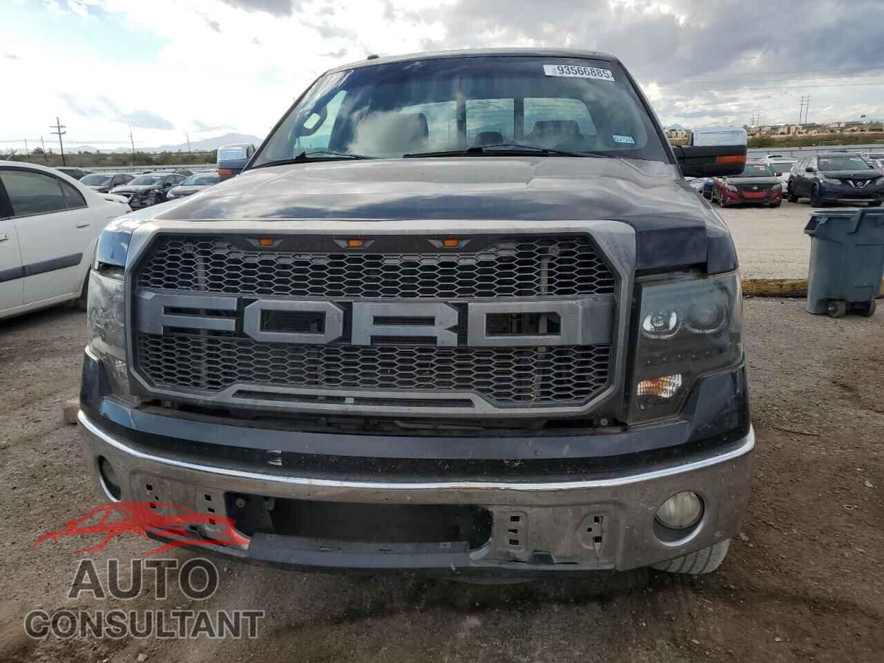 FORD F-150 2013 - 1FTFX1CF3DFA45691