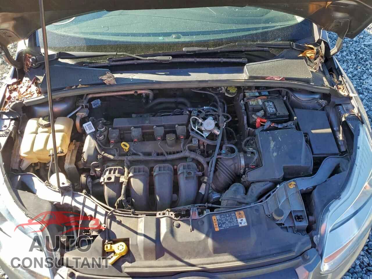 FORD FOCUS 2014 - 1FADP3F28EL425338