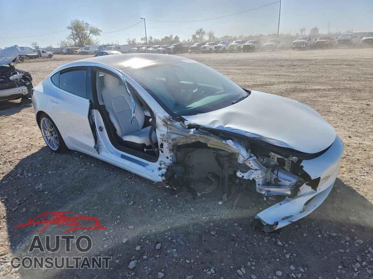 TESLA MODEL 3 2019 - 5YJ3E1EA3KF313019
