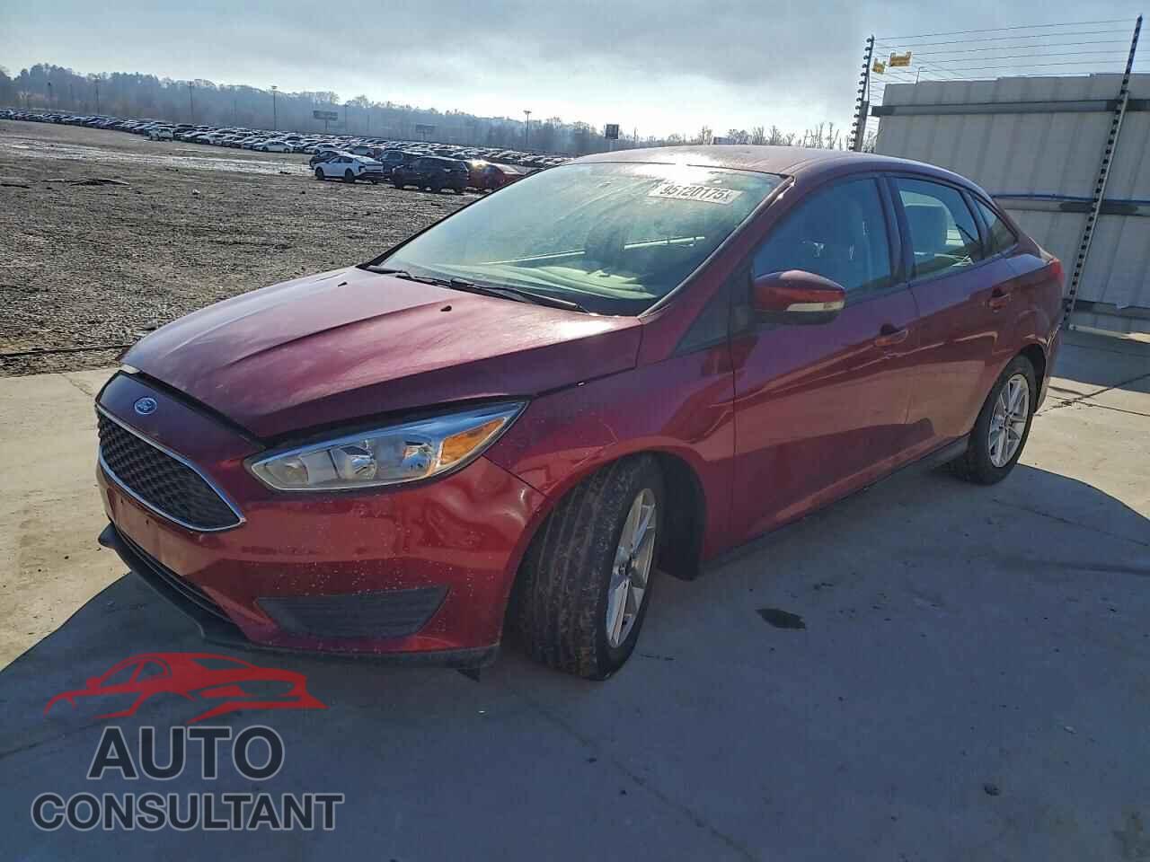 FORD FOCUS 2016 - 1FADP3F24GL398805