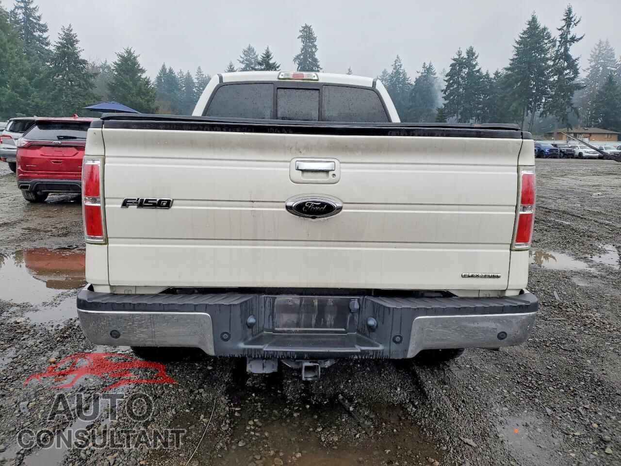 FORD F-150 2012 - 1FTFW1EF3CFC45002