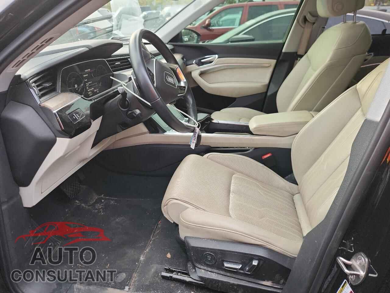 AUDI E-TRON 2019 - WA1VAAGE4KB011224