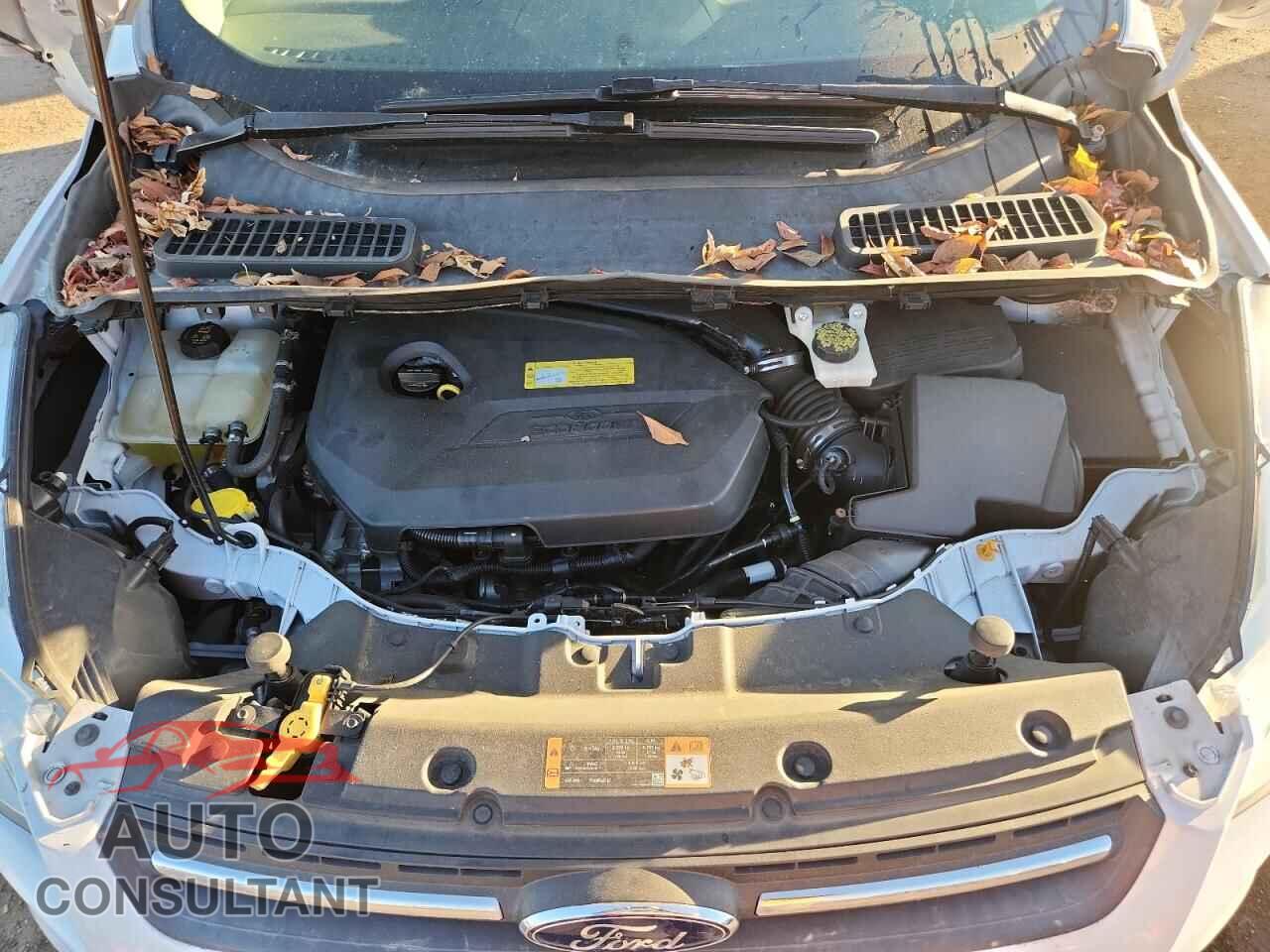 FORD ESCAPE 2014 - 1FMCU9GX4EUC60244