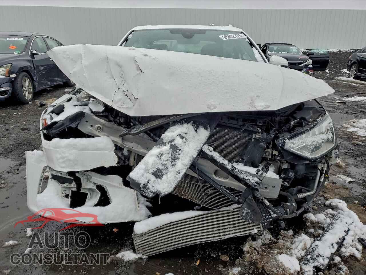AUDI A4 2022 - WAUEAAF40NN008769