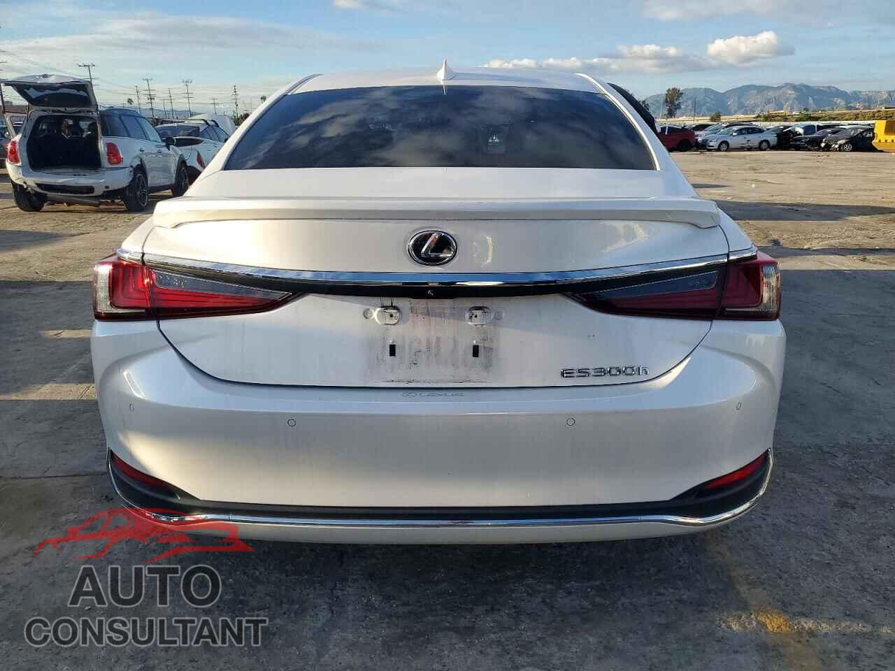 LEXUS ES300 2024 - 58ADA1C19RU038541