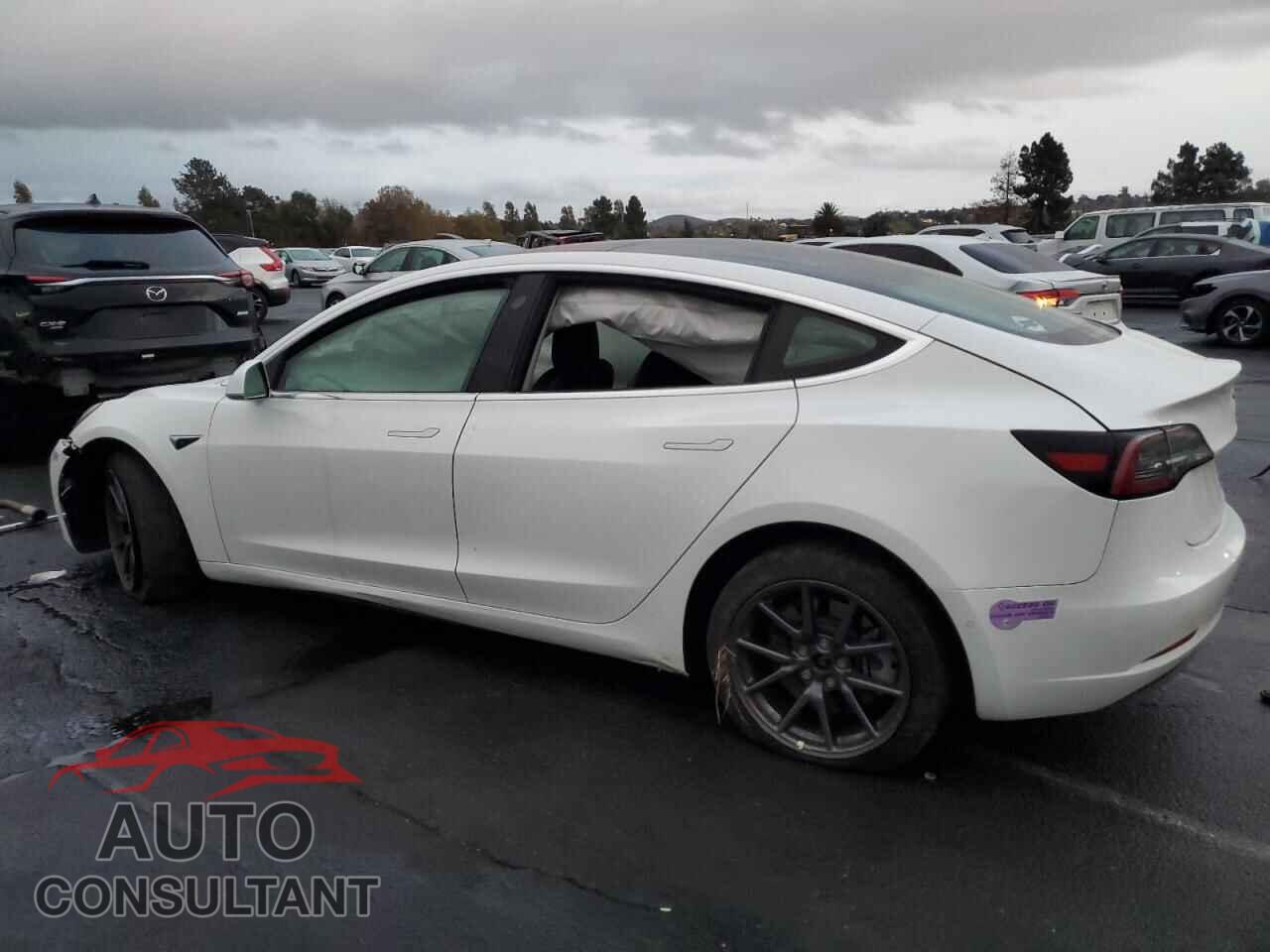 TESLA MODEL 3 2019 - 5YJ3E1EA1KF324374