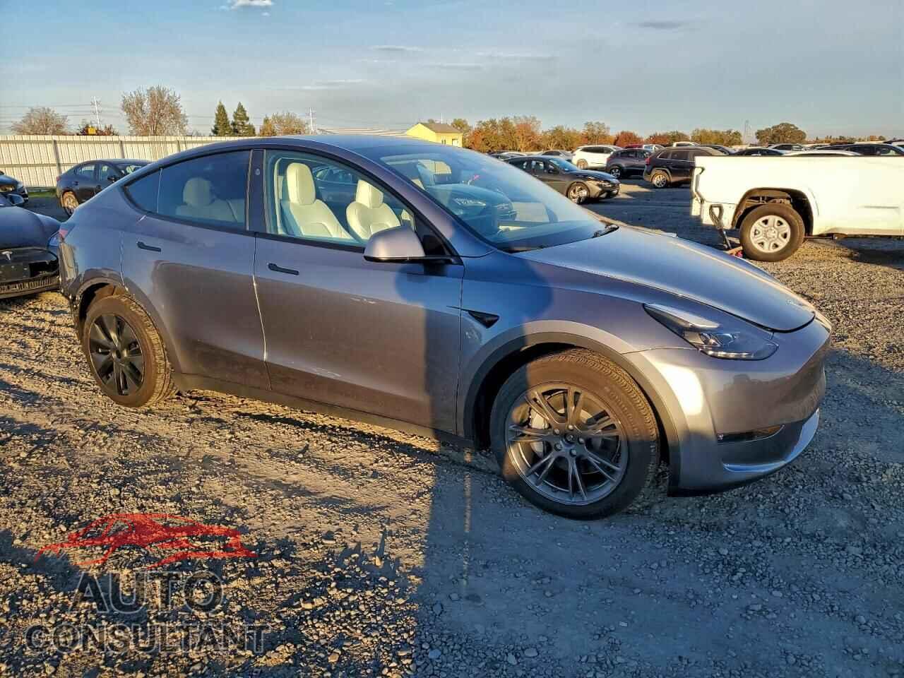 TESLA MODEL Y 2024 - 7SAYGAEE5RF163821