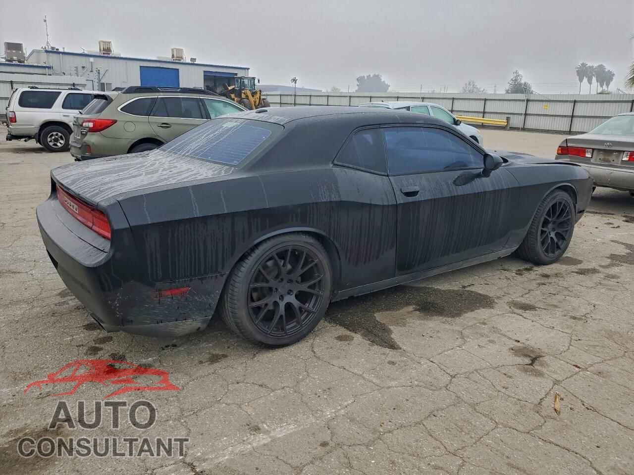 DODGE CHALLENGER 2013 - 2C3CDYAG1DH683490