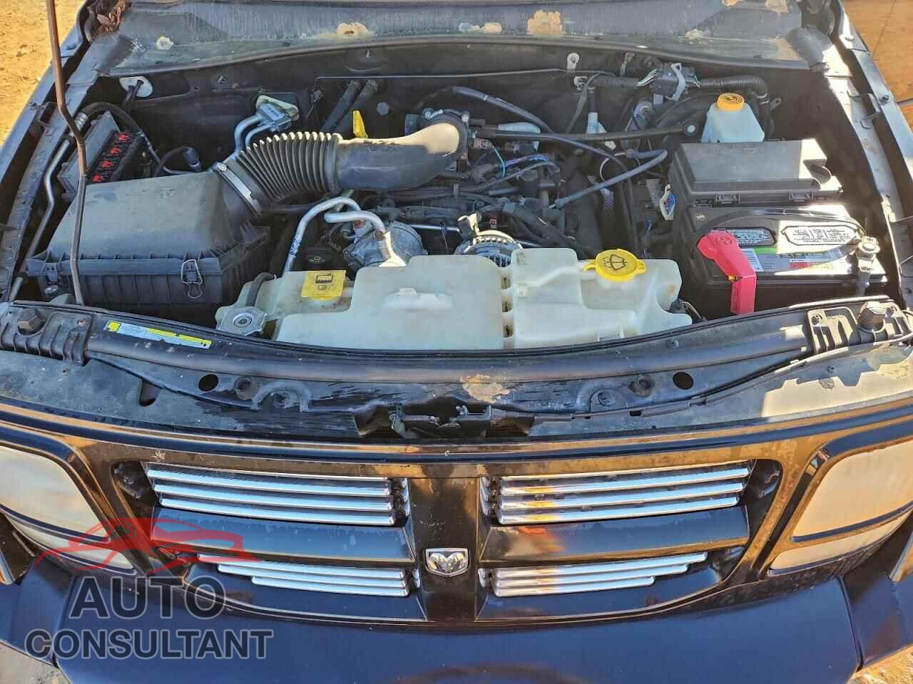 DODGE NITRO 2011 - 1D4PT5GK6BW545004