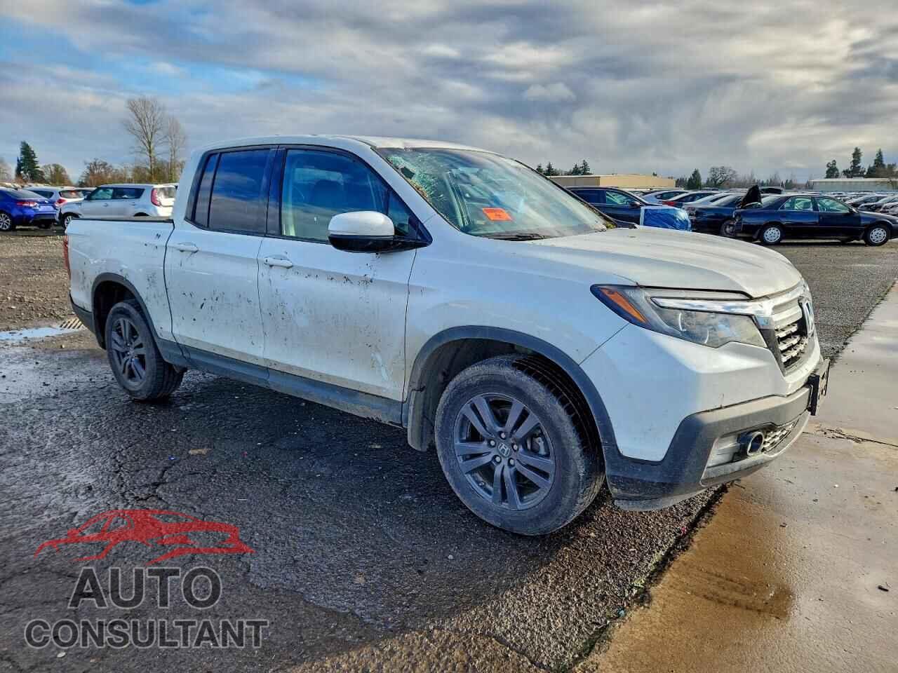 HONDA RIDGELINE 2019 - 5FPYK3F13KB049509