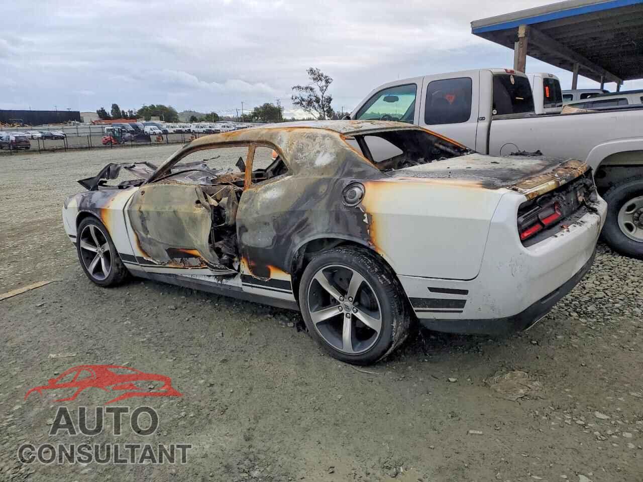 DODGE CHALLENGER 2019 - 2C3CDZAG9KH623170