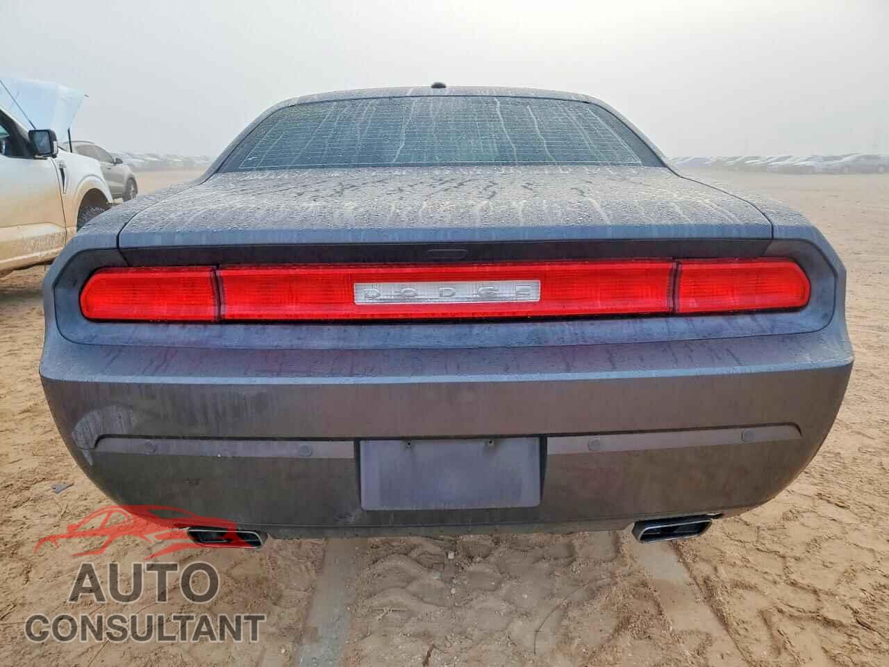 DODGE CHALLENGER 2013 - 2C3CDYAG2DH710387