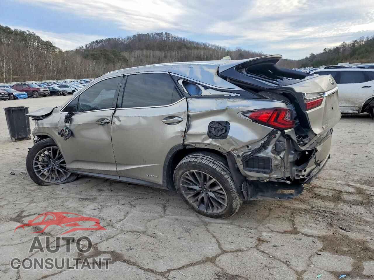 LEXUS RX450 2019 - 2T2BGMCA4KC030428