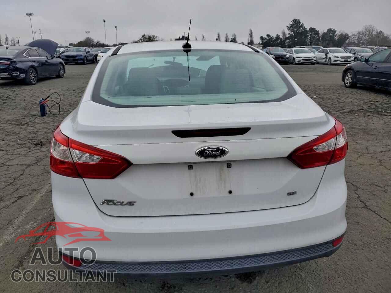 FORD FOCUS 2013 - 1FADP3F26DL302569