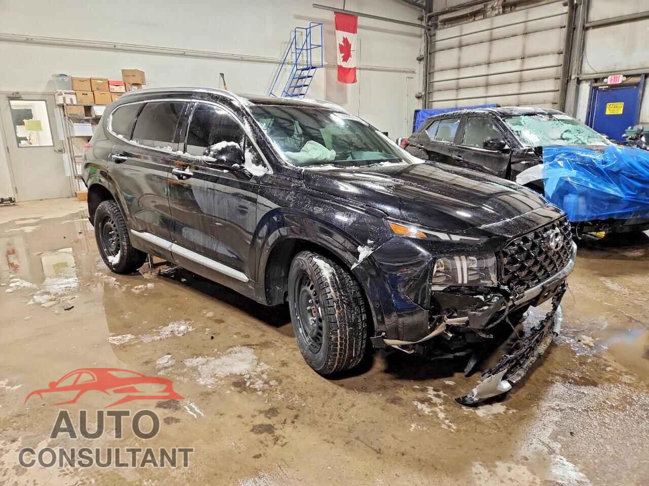 HYUNDAI SANTA FE 2023 - 5NMS5DAL8PH613598