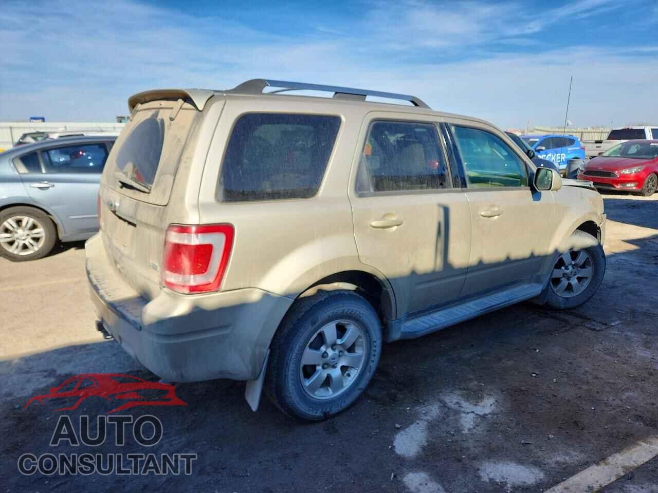 FORD ESCAPE 2011 - 1FMCU0EG3BKA53785