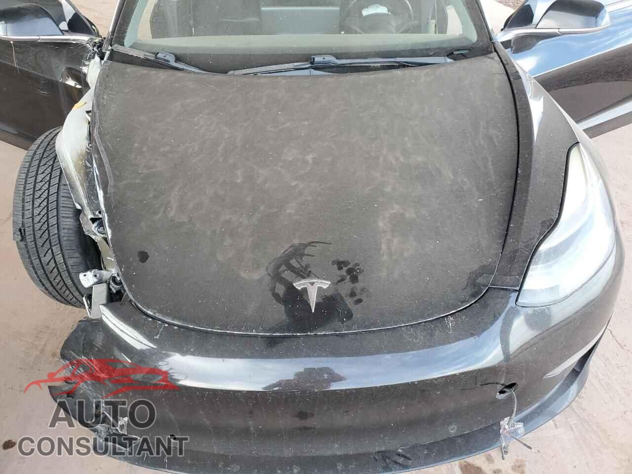 TESLA MODEL 3 2019 - 5YJ3E1EA1KF357410