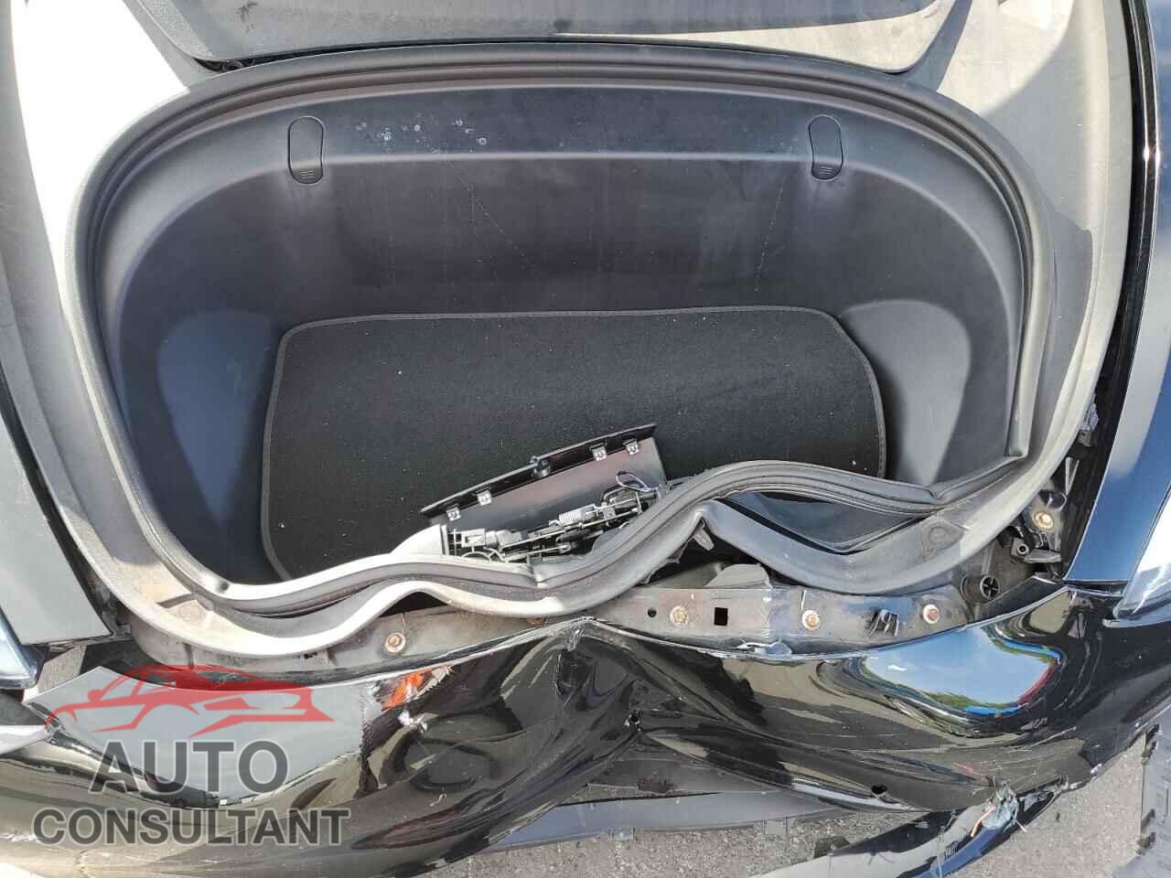 TESLA MODEL 3 2019 - 5YJ3E1EA1KF306571
