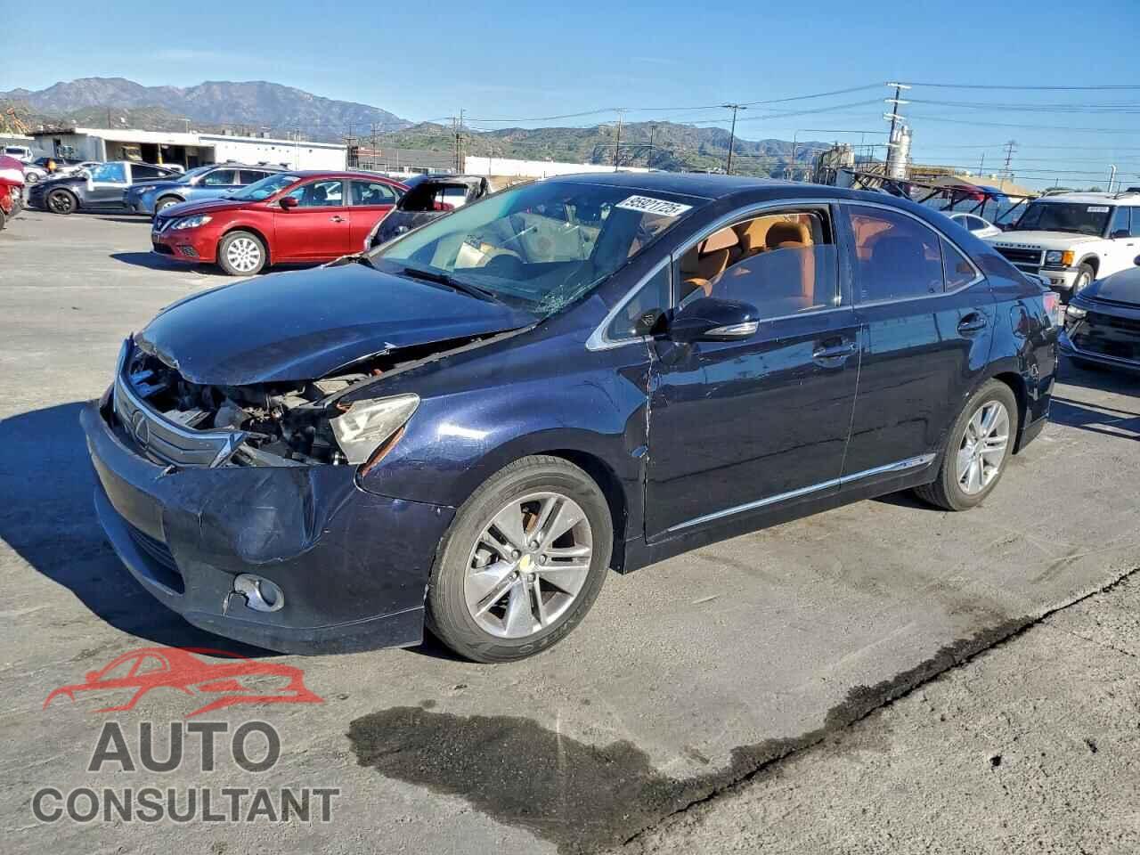LEXUS HS 2010 - JTHBB1BAXA2005287