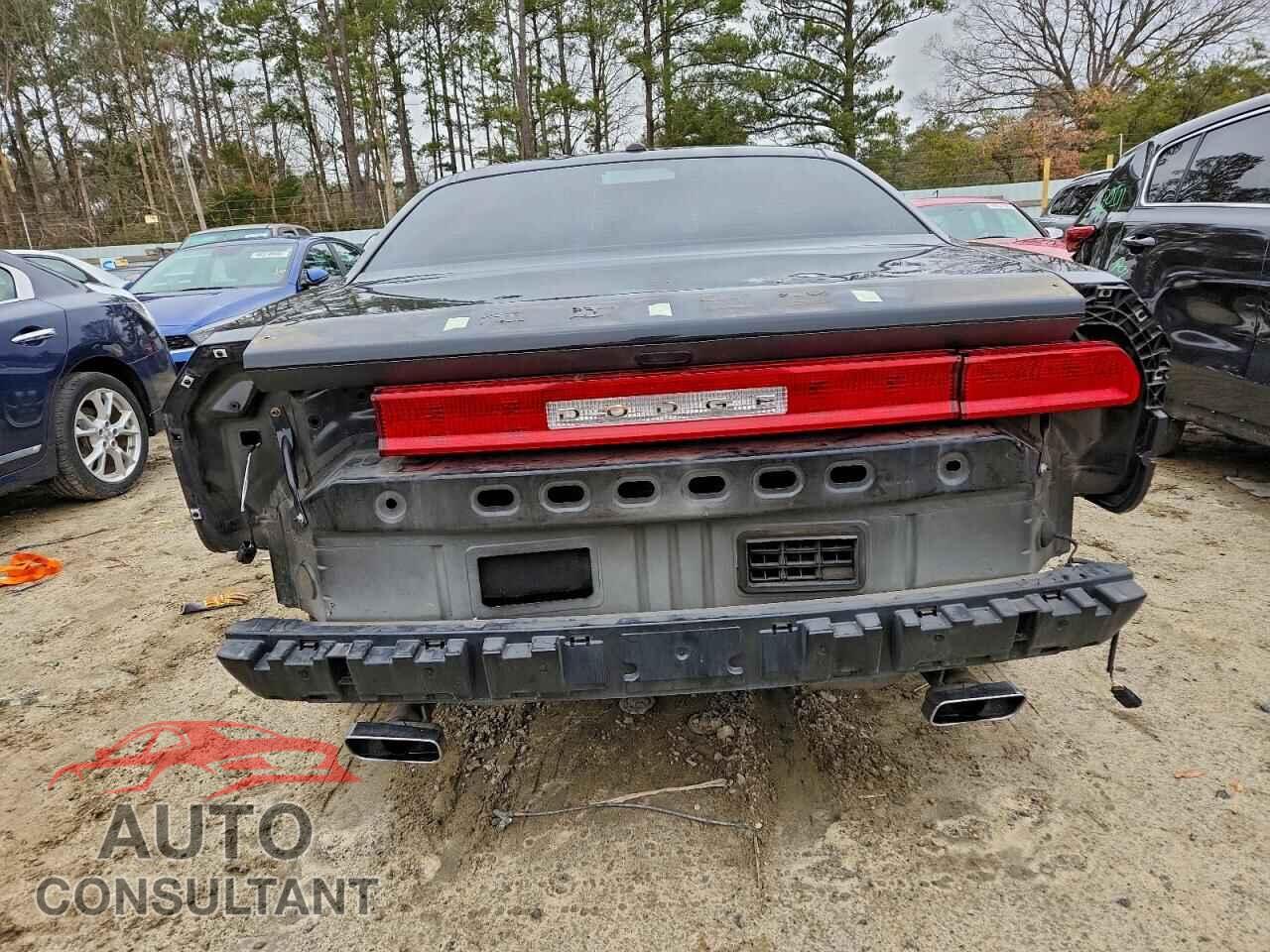 DODGE CHALLENGER 2012 - 2C3CDYBT3CH225881